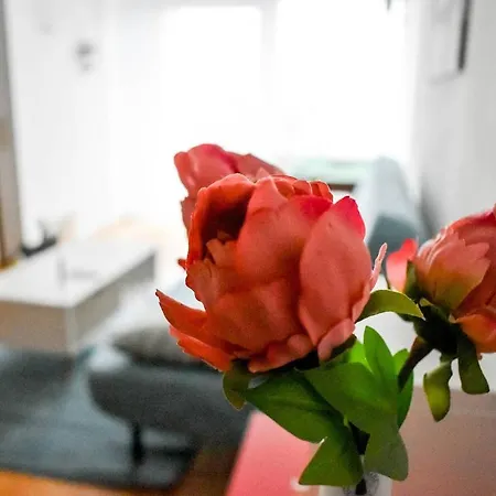 Zentrale Mit Netflix Nahe Bahnhof Uni Stadt * Mannheim
